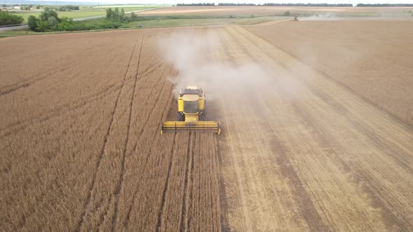 Aerial View of Harvester Machines Working in Wheat Field