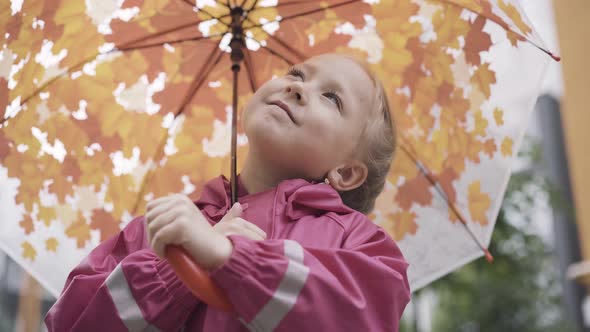 Portrait of Thoughtful Caucasian Little Girl Looking Up at Umbrella and Smiling. Close-up of Pretty