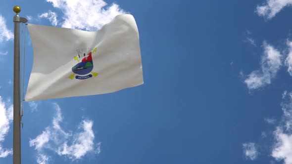 Vitoria City Flag (Brazil) On Flagpole