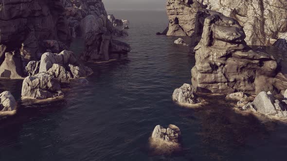 Movement Among The Rocks In The Sea