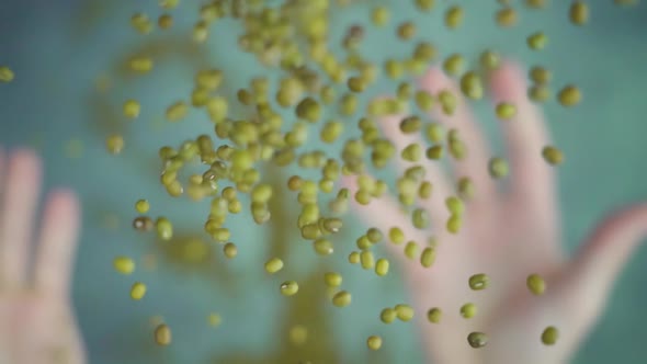 Person Throws Up Handful of Beans Above Table Surface