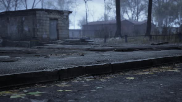 Old Abandoned Garages in the Forest alt