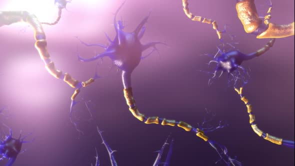 The human nervous system is destroyed. 3D Medical Animation.