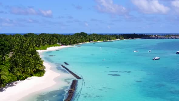 Aerial drone nature of exotic shore beach wildlife by blue ocean with sand background