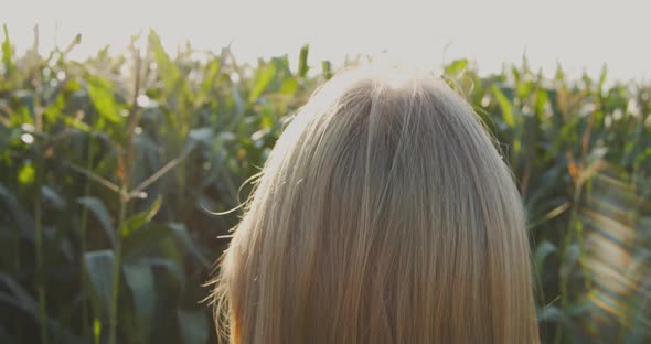 View from behind on blonde woman standing in front of corn field and enjoys the sun