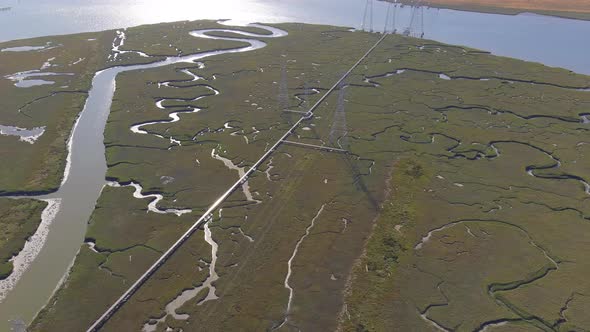 Power Lines Cut Through Marine Wetlands