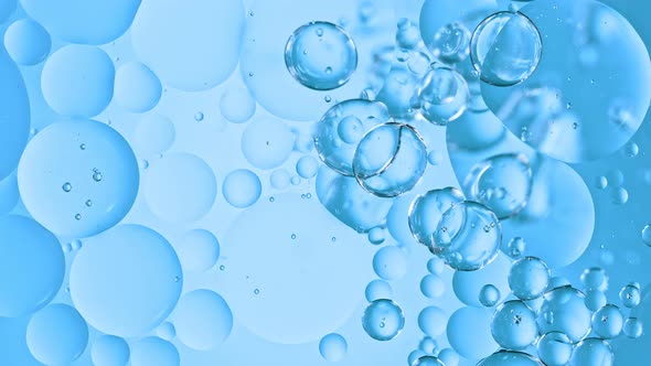Super Slow Motion Shot of Moving Oil Bubbles on Blue Background at 1000Fps alt