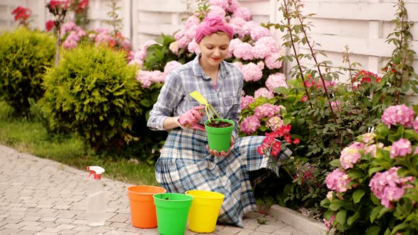 Beautiful Flowers in a Garden