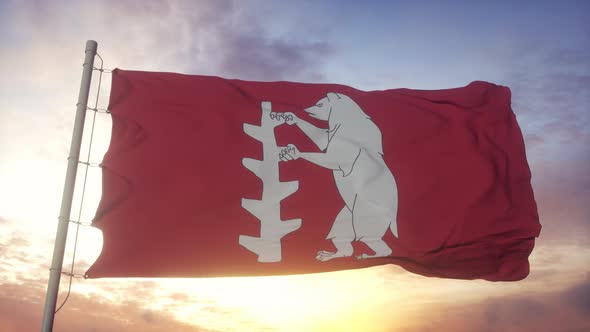 Warwickshire Flag England Waving in the Wind Sky and Sun Background