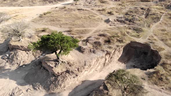 4k Land excavated land with trees beside residential area - drone tracking shot