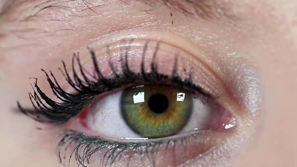 Close Up Macro Green Eye Moving Up, Human Iris Natural Beauty.