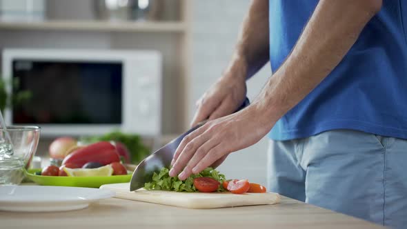 Man Cutting Tomatoes and Lettuce Preparing Fresh Vegetable Salad, Healthy Eating