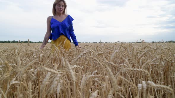 Beautiful Ukrainian Woman Wearing Dress in Ukrainian National Flag Colours Blue and Yellow at Wheat