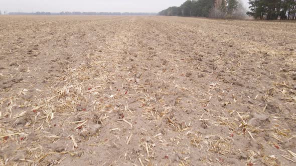 Land in a Plowed Field in Autumn