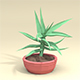 Low-Poly Aloe Plant - 3DOcean Item for Sale