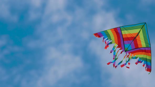 Multicolored Rainbow Lgbt Kite Air Flies on the Background