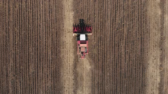 Aerial View Combine Harvesting on Sunflower Field. Mechanized Harvesting Sunflower. Large Field of alt