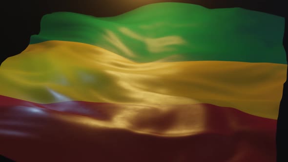 Guinea Flag Low Angle View