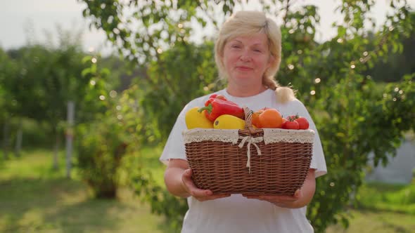 Female farmer hold basket with vegetables closeup. Caucasian woman show vegetable