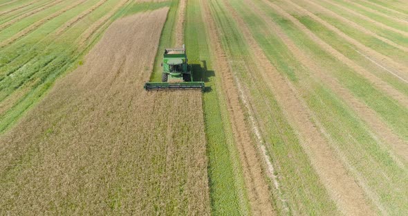 Combine Harvester on Wheat Field
