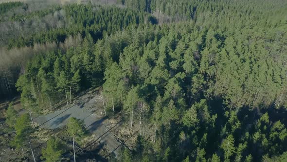 Areal shot over a swedish forest. Tilts to the treetop in the end