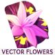 Vector Flowers - VideoHive Item for Sale