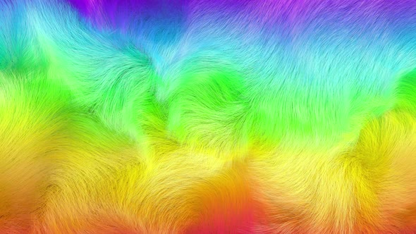 Rainbow Gradient Fur Texture