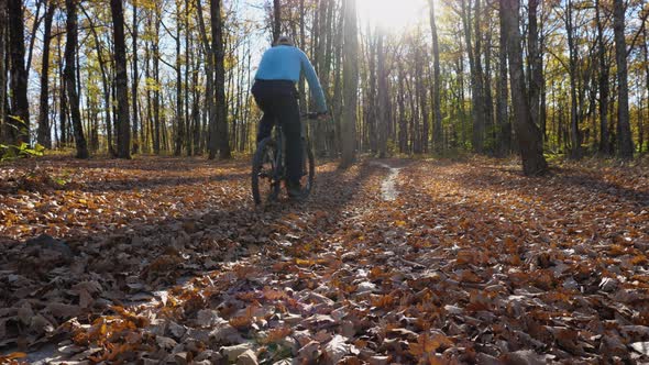 A man on a mountain bike is riding along a path in an autumn forest with his back to the camera