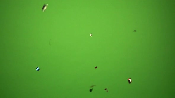 Green-screen scene with closer and fallen celebration confetti.