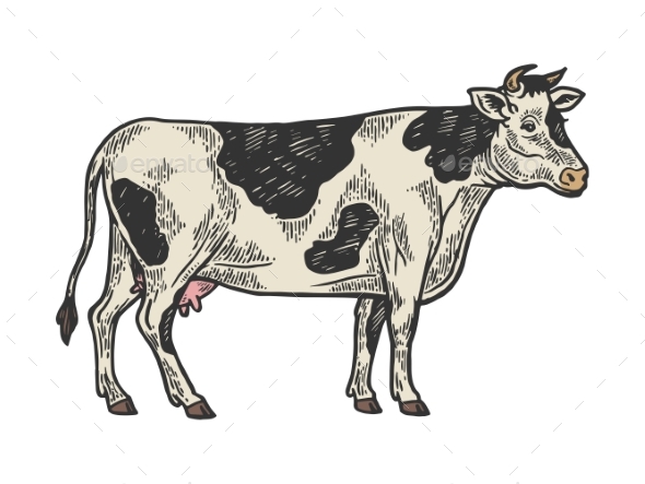 Cow Rural Farm Animal Engraving Vector