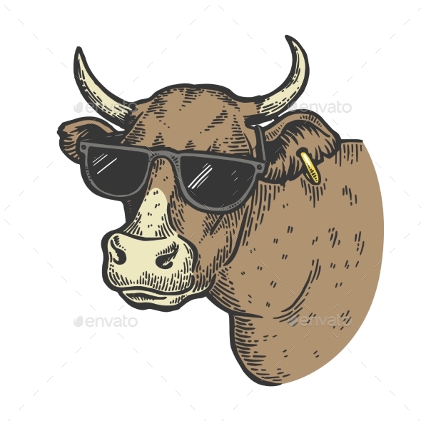 Cow Animal in Sunglasses Color Engraving Vector