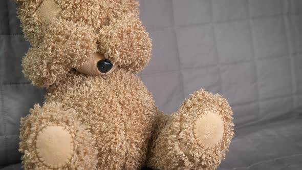 Sad teddy bear. 