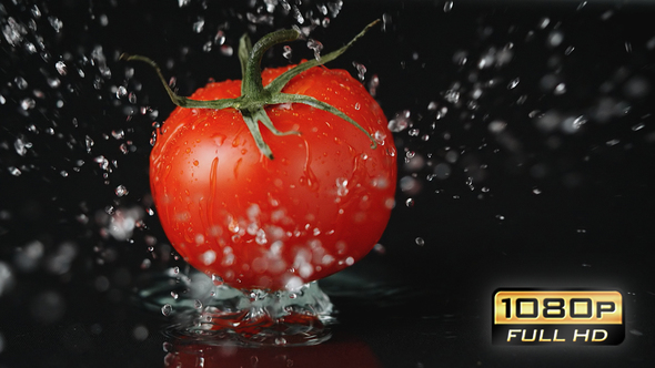 Water Splashing Tomato