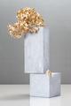 Installation using concrete blocks and a golden plant. - PhotoDune Item for Sale