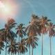 Tropical Electronic Pop Summer Latin