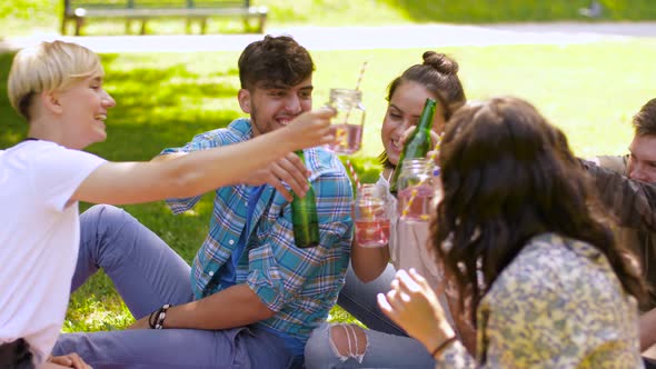 Happy Friends Clinking Drinks at Summer Park 18