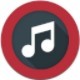 Acoustic Guitar Pack