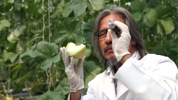 Senior Asian Agricultural Research Scientist Using Brix Refractometer Sweet Test Tool at Farm Field