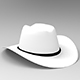 cowboy hat - 3DOcean Item for Sale