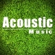 Inspiring Happiness Warmth Acoustic Guitar