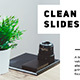 Minimal Clean Presentation - VideoHive Item for Sale