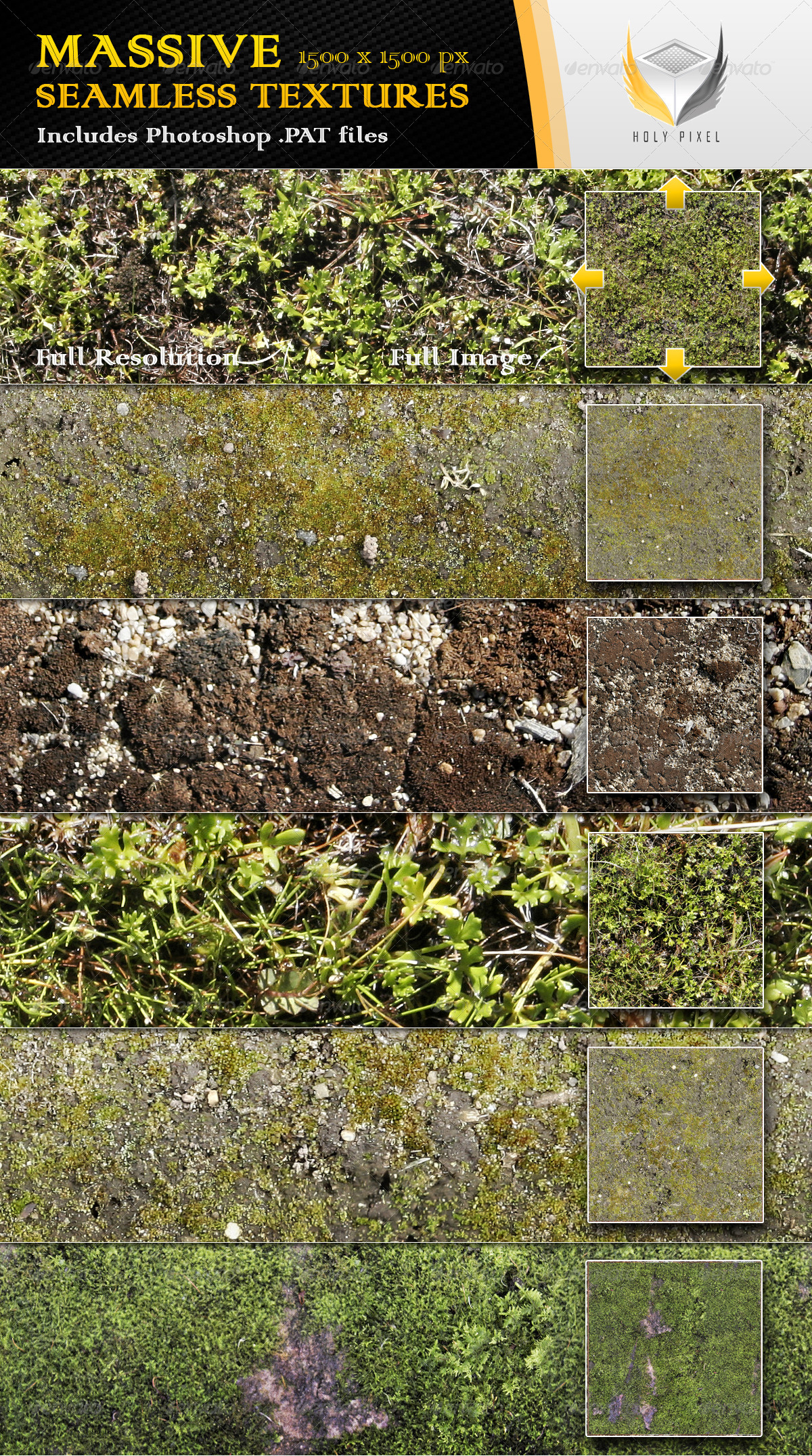 6 Seamless Moss Textures