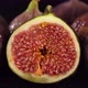 fresh figs close up rotating on black background - VideoHive Item for Sale