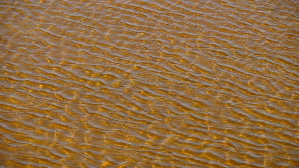 salt marsh, Guerande,Loire Atlantique,France