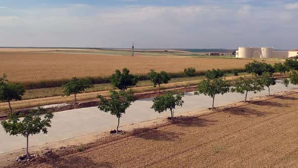 Bodega Gótica is a family business that has been producing grapes for several generations in the mun