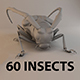 Insects and Beetles Pack - 3DOcean Item for Sale