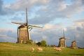 Sheep with windmills and clouds - PhotoDune Item for Sale
