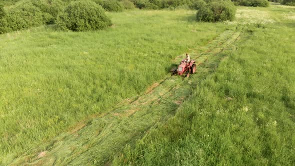 Farmer on a Tractor Mows Hay for Livestock Feed in a Pasture with High Green Grass