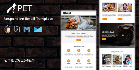 PET - Responsive Email Template