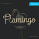 Flamingo - Solid Monoline Script - GraphicRiver Item for Sale